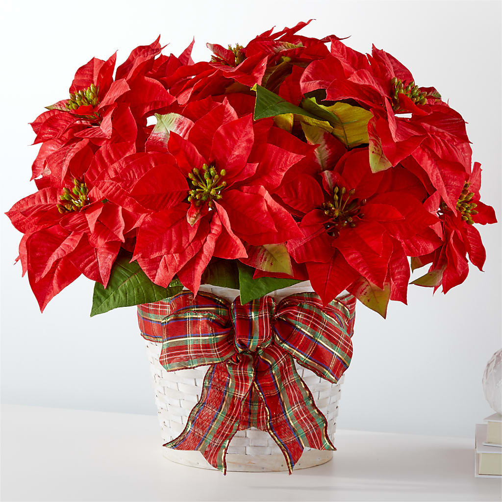 Happiest Holidays Poinsettia – Greater Fayetteville Flower Shop, Springdale AR