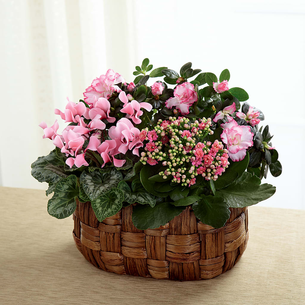 Pink Assortment – Greater Fayetteville Flower Shop, Springdale AR