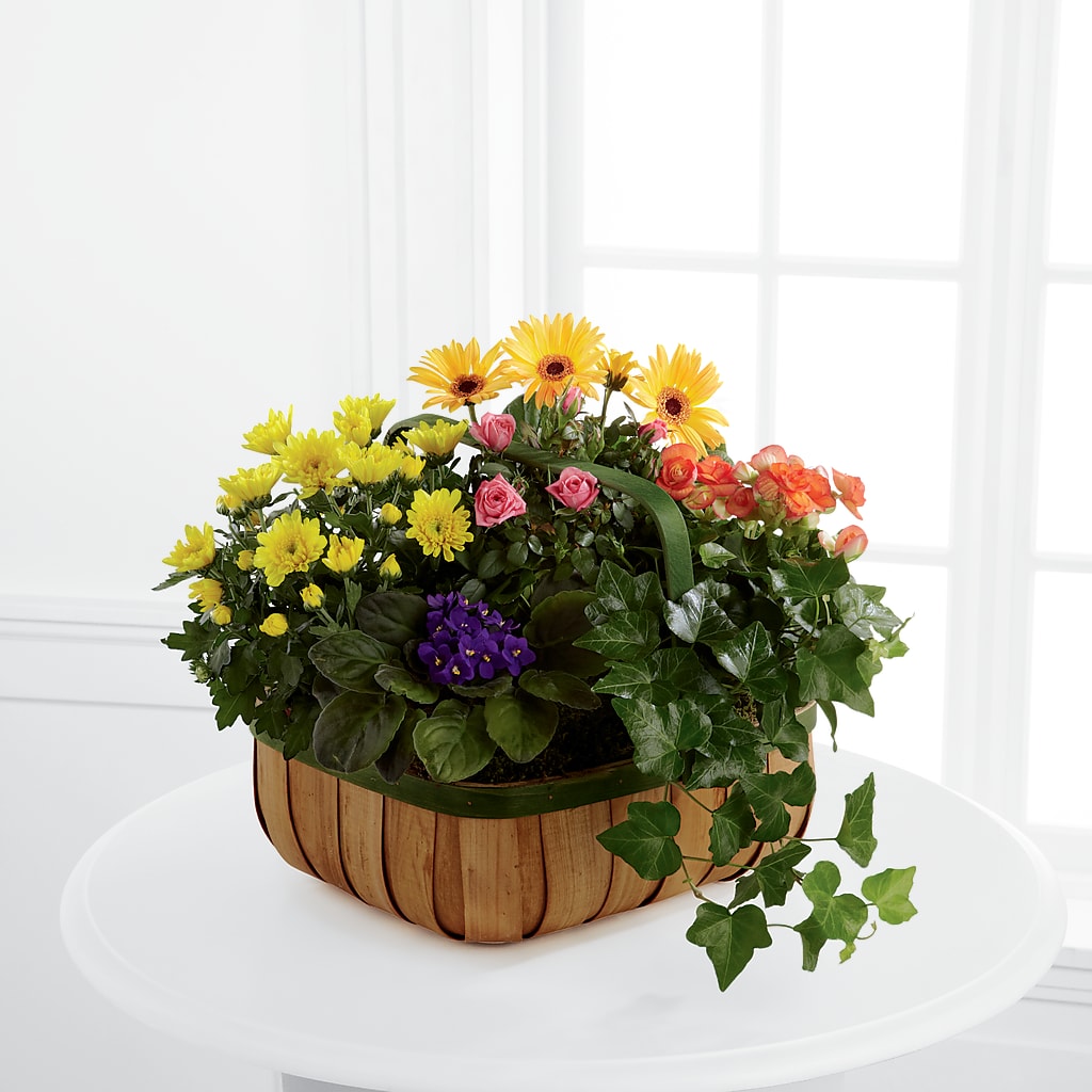 Gentle Blossoms Basket – Greater Fayetteville Flower Shop, Springdale AR