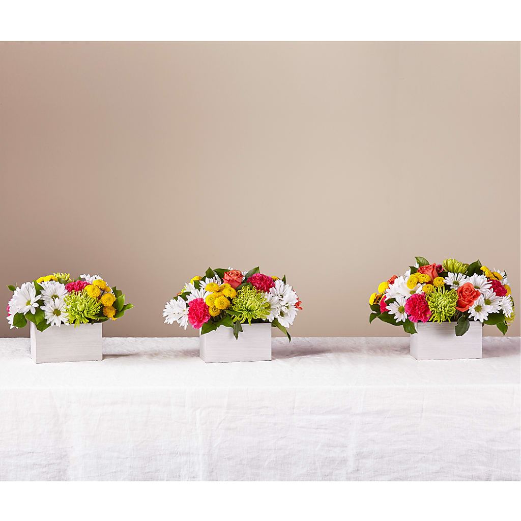 Sorbet Bouquet – Greater Fayetteville Flower Shop, Springdale AR