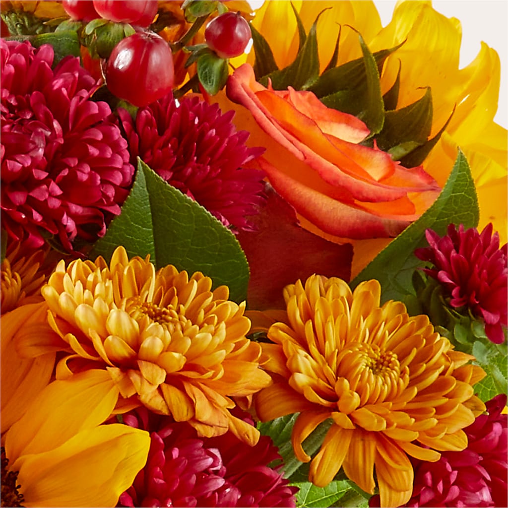 Sweater Season - A Florist Original – Greater Fayetteville Flower Shop, Springdale AR
