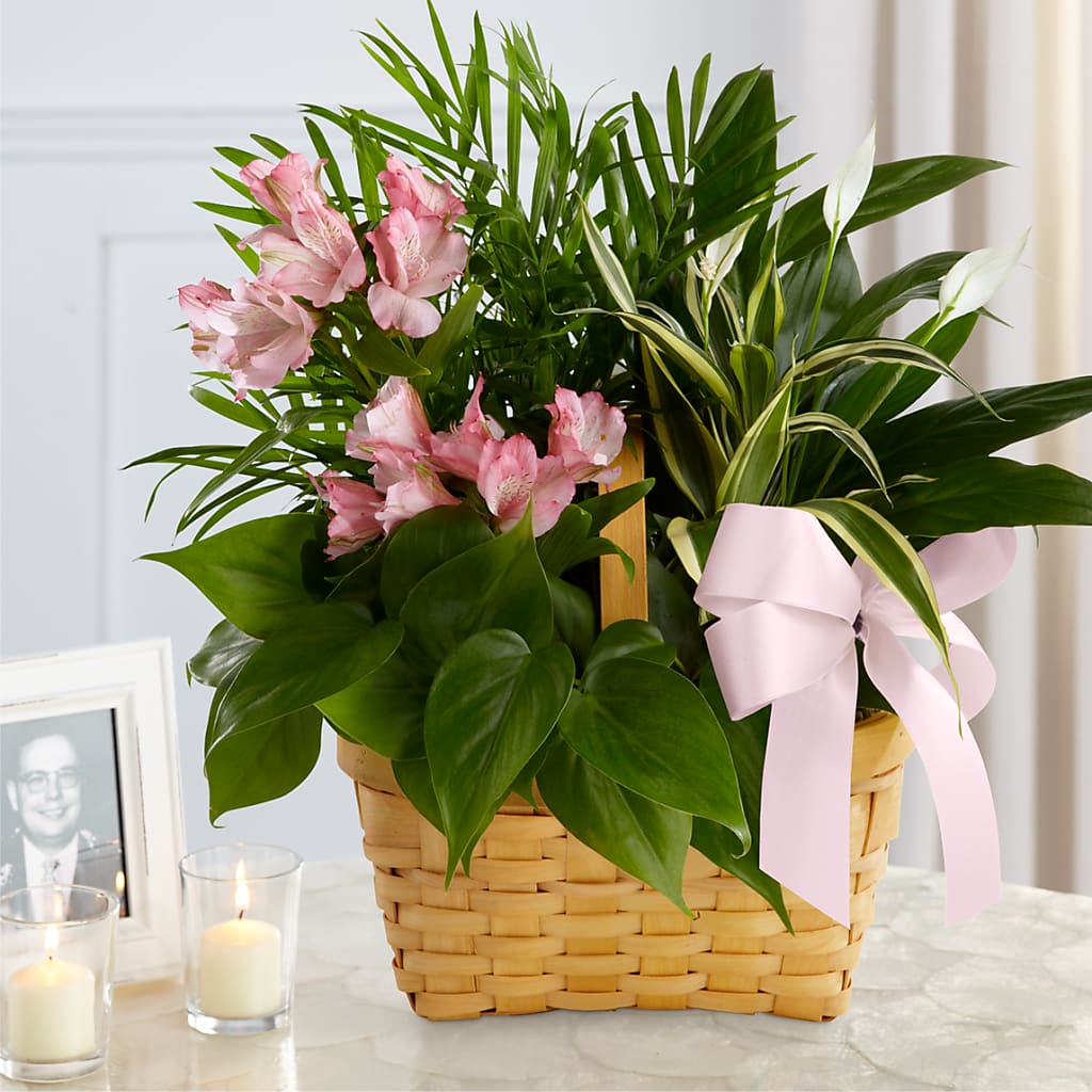Living Spirit Dishgarden – Greater Fayetteville Flower Shop, Springdale AR