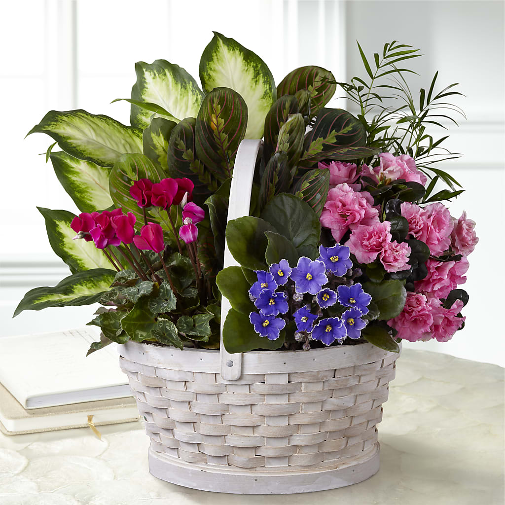 Peaceful Garden Planter – Greater Fayetteville Flower Shop, Springdale AR