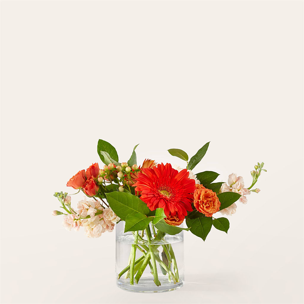 Paloma Please Bouquet – Greater Fayetteville Flower Shop, Springdale AR