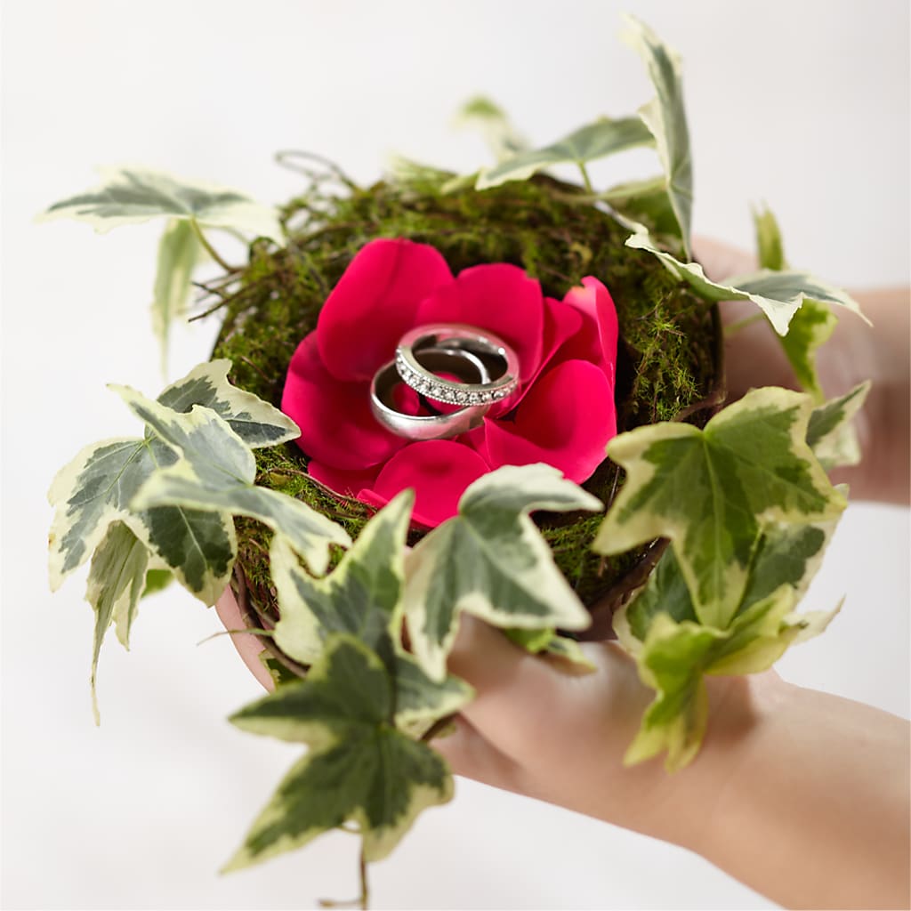 Lila Rose Ring Nest – Greater Fayetteville Flower Shop, Springdale AR