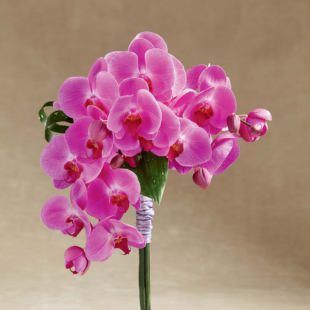 Glorious Bouquet – Greater Fayetteville Flower Shop, Springdale AR