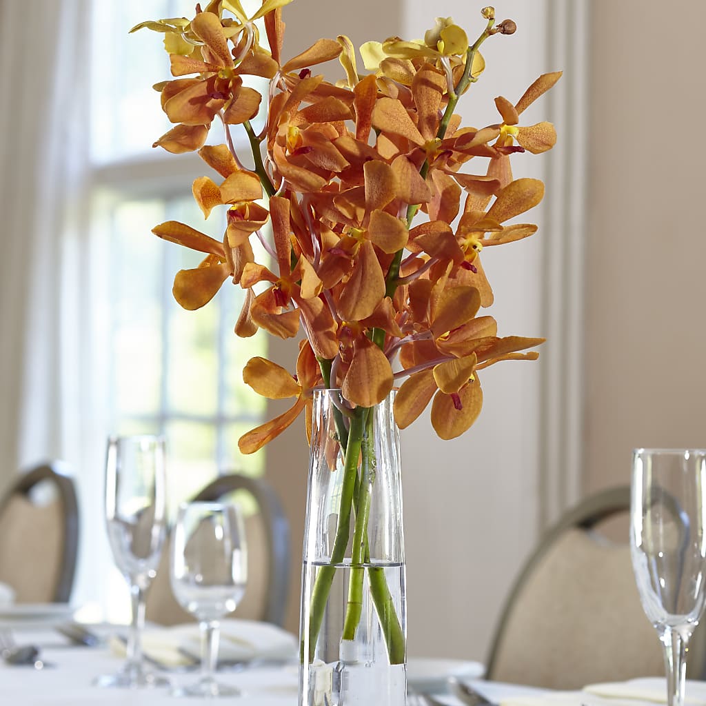 Orange Mokara Bud Vase – Greater Fayetteville Flower Shop, Springdale AR