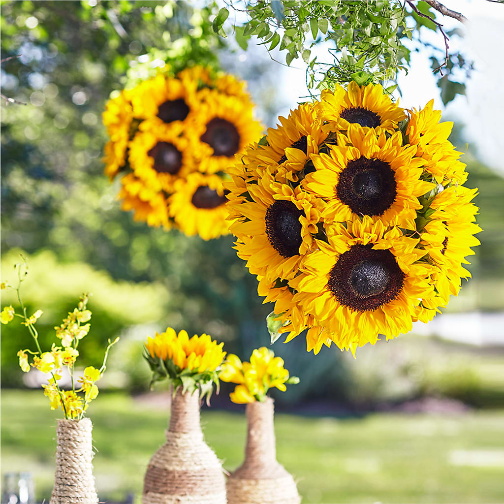 Sublime Garden Hanging Arrangement – Greater Fayetteville Flower Shop, Springdale AR