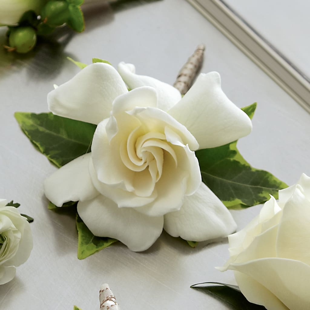 Gardenia Boutonniere – Greater Fayetteville Flower Shop, Springdale AR