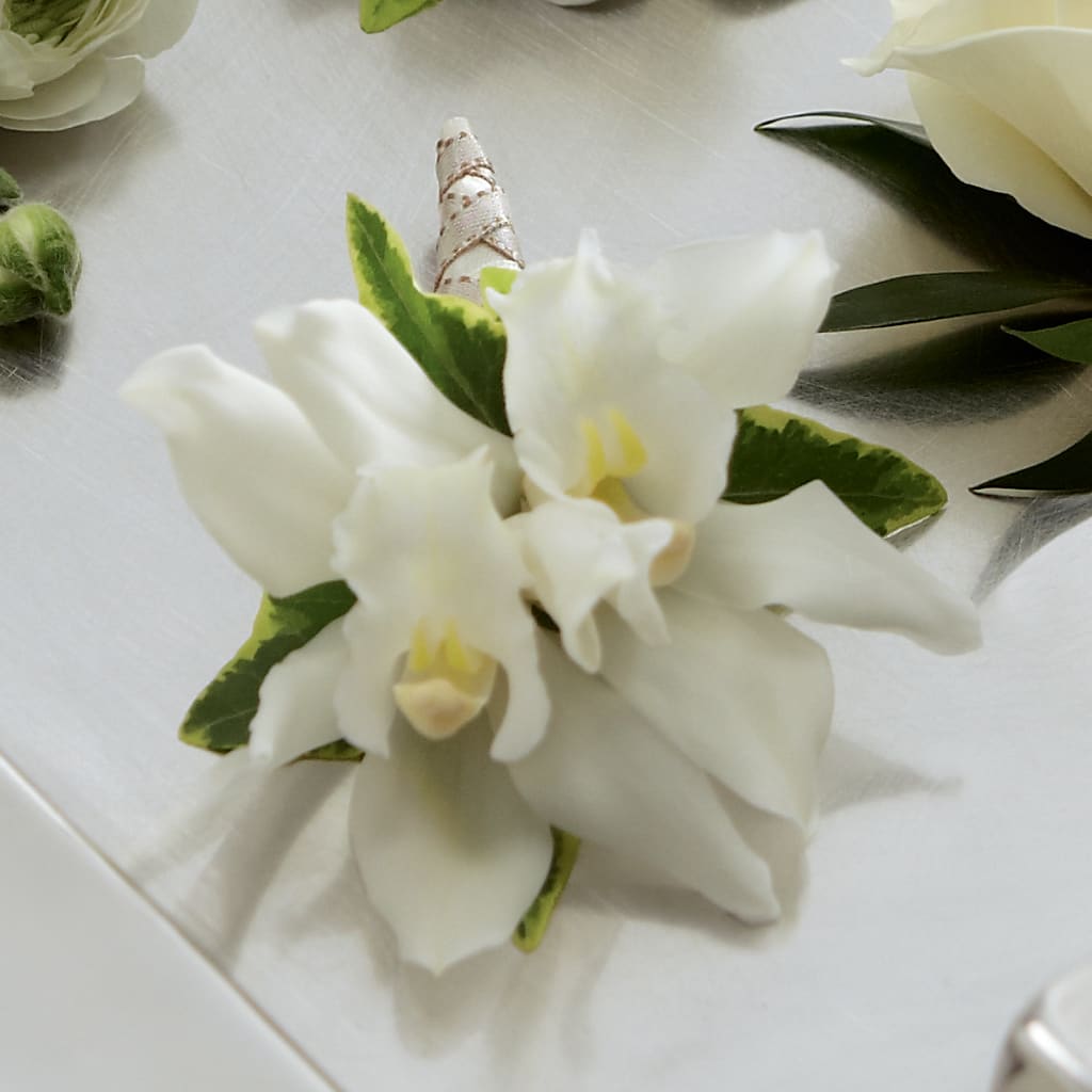 White Mini Cymbidium Boutonniere – Greater Fayetteville Flower Shop, Springdale AR