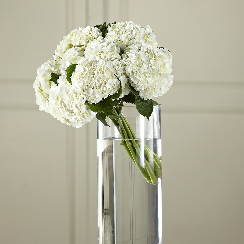 White Hydrangea Hand-Tied Bouquet – Greater Fayetteville Flower Shop, Springdale AR
