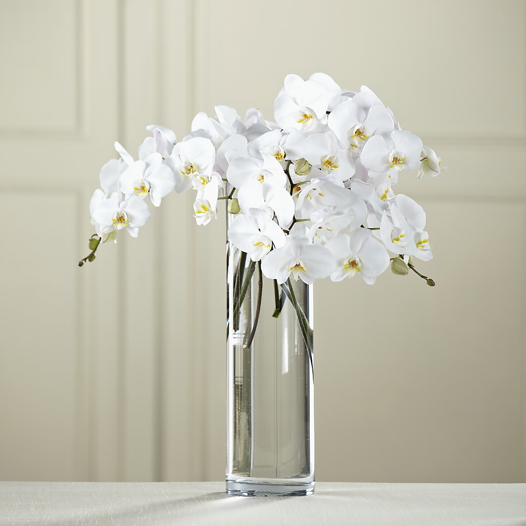 White Phalaenopsis Bouquet – Greater Fayetteville Flower Shop, Springdale AR