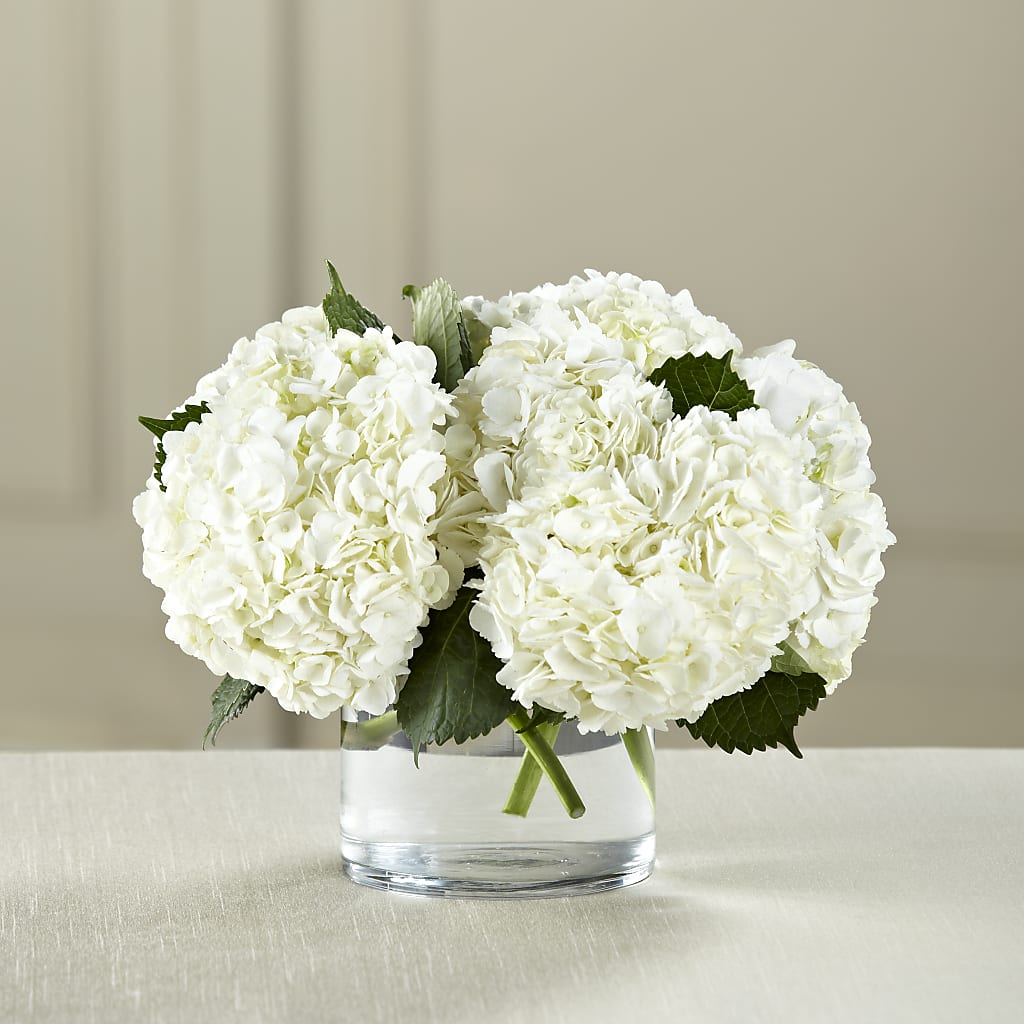 White Hydrangea Bouquet – Greater Fayetteville Flower Shop, Springdale AR