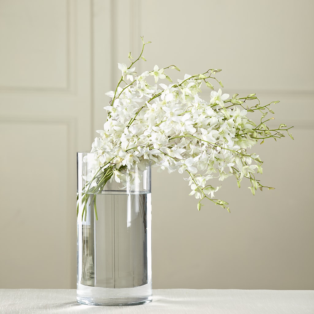 White Dendrobium Bouquet – Greater Fayetteville Flower Shop, Springdale AR