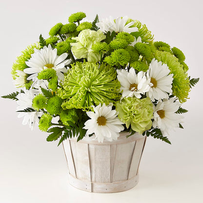 Lucky Charm Basket (Standard) –  Greater Fayetteville Flower Shop, Springdale AR