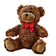 Adorable Plush Bear –  Greater Fayetteville Flower Shop, Springdale AR