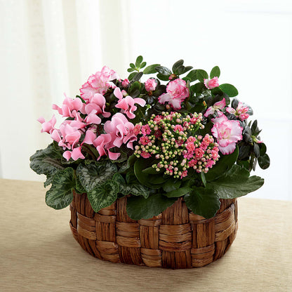 Pink Assortment –  Greater Fayetteville Flower Shop, Springdale AR