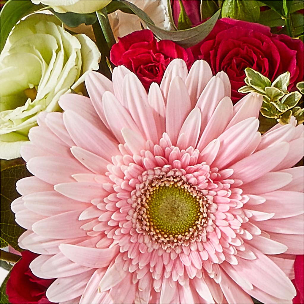 Too Cute Bouquet –  Greater Fayetteville Flower Shop, Springdale AR