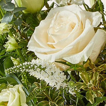 Cashmere Bouquet –  Greater Fayetteville Flower Shop, Springdale AR