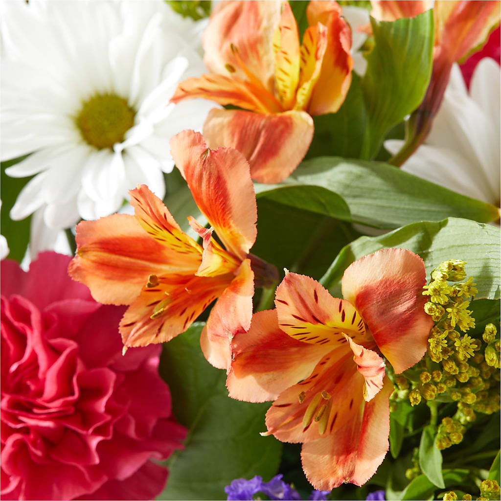 Oopsie Daisy Box Bouquet –  Greater Fayetteville Flower Shop, Springdale AR