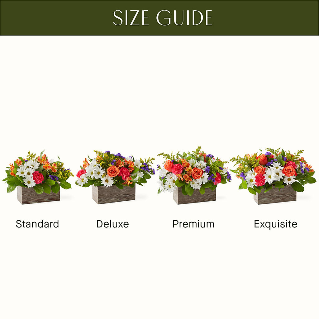Oopsie Daisy Box Bouquet –  Greater Fayetteville Flower Shop, Springdale AR