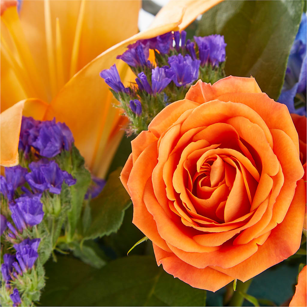 Radiant Citrus Box Bouquet –  Greater Fayetteville Flower Shop, Springdale AR