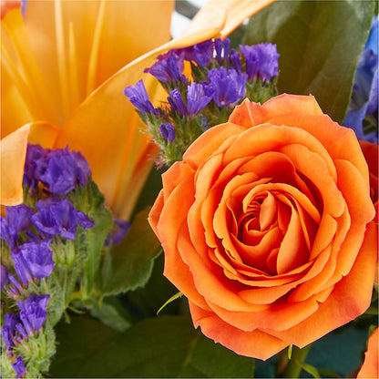 Radiant Citrus Box Bouquet –  Greater Fayetteville Flower Shop, Springdale AR