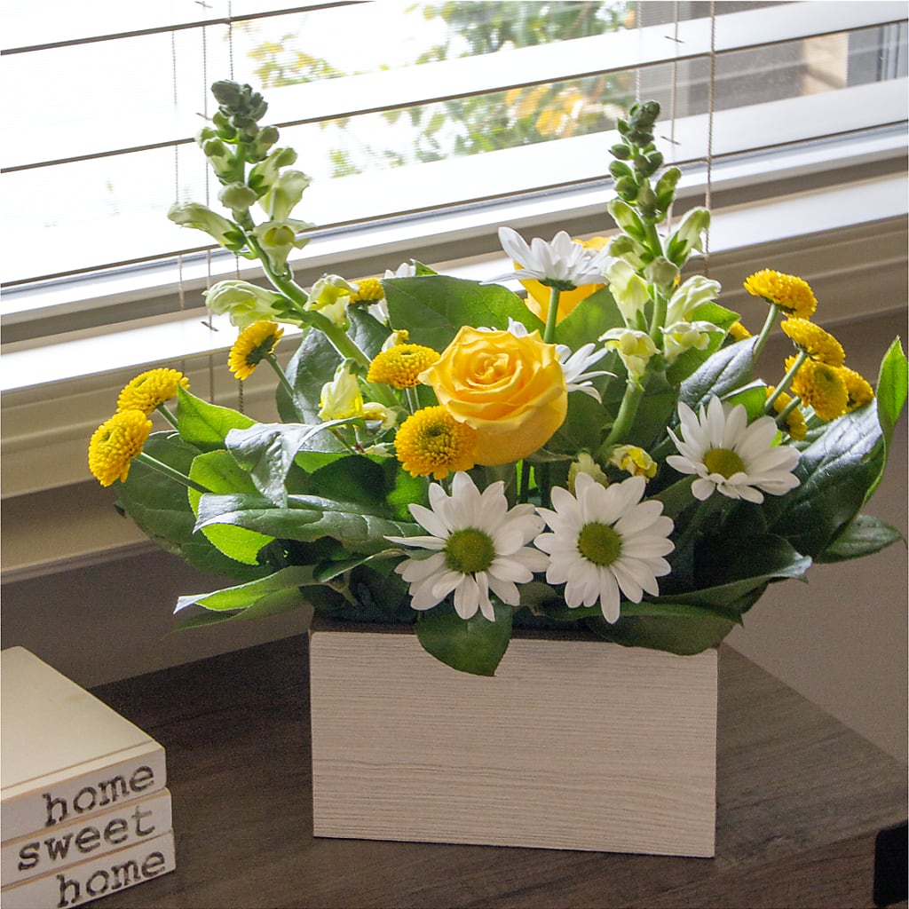 Sun Salutation Box Bouquet –  Greater Fayetteville Flower Shop, Springdale AR