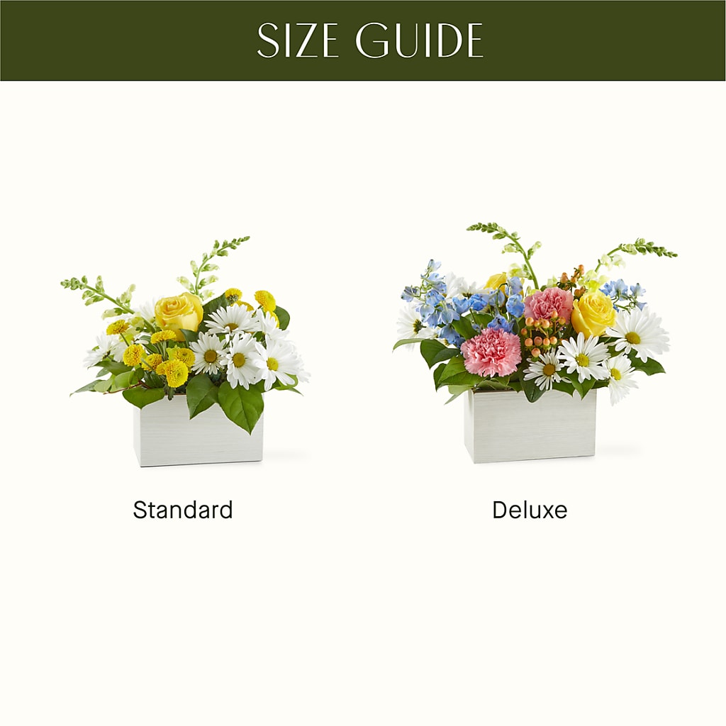 Sun Salutation Box Bouquet –  Greater Fayetteville Flower Shop, Springdale AR