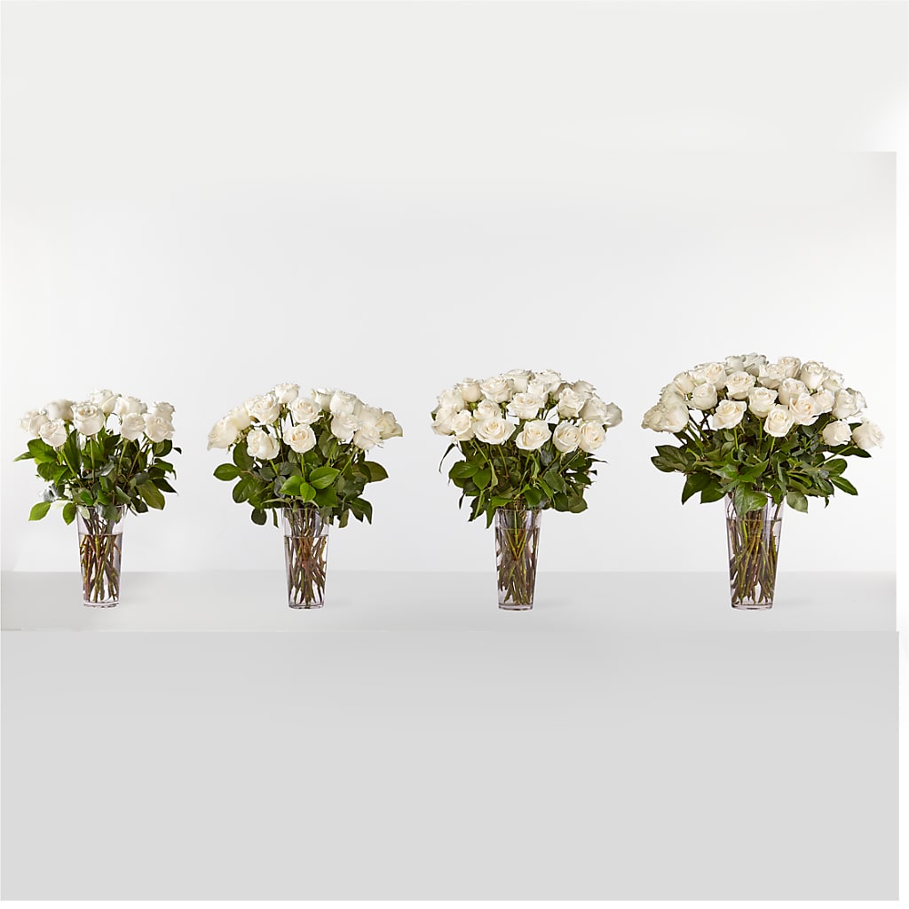 Long Stem White Rose Bouquet –  Greater Fayetteville Flower Shop, Springdale AR