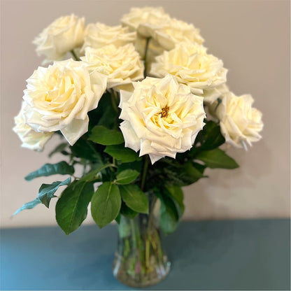 Long Stem Yellow Rose Bouquet –  Greater Fayetteville Flower Shop, Springdale AR