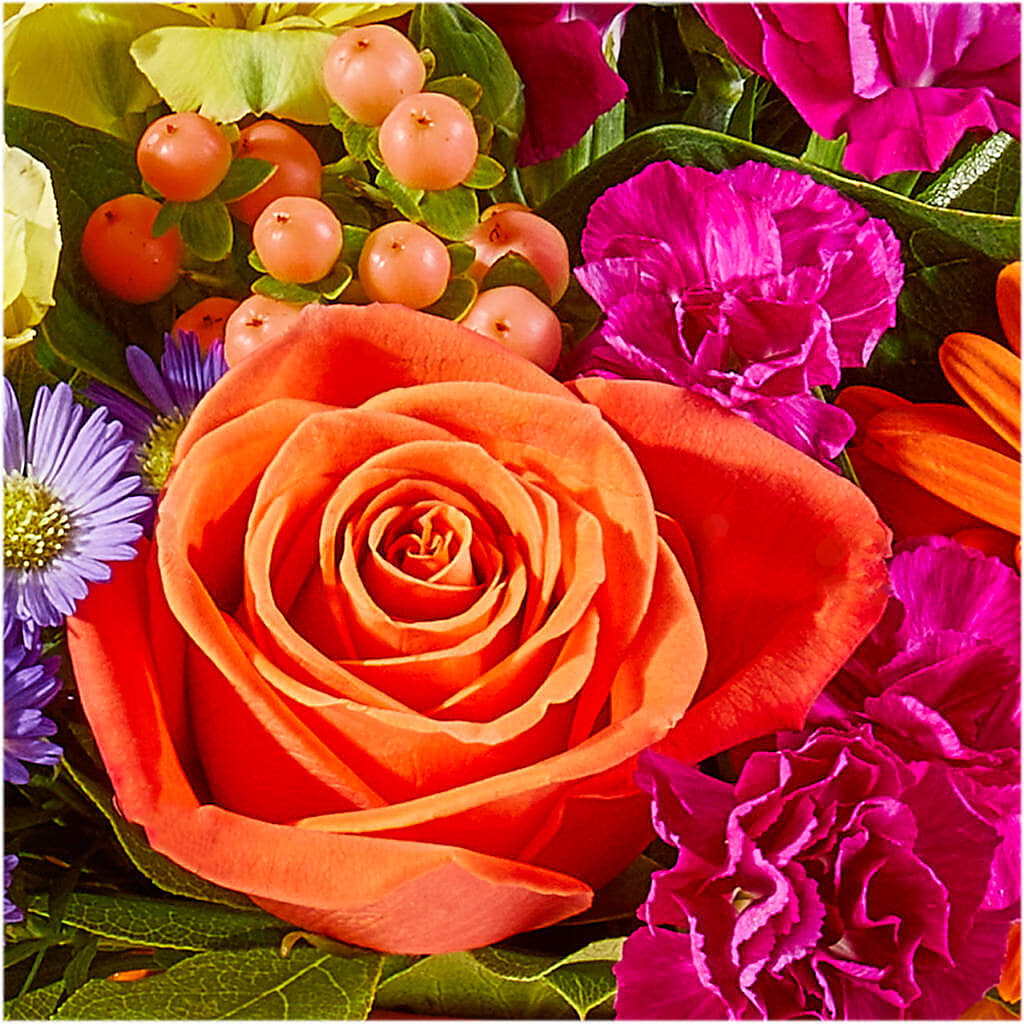Tricks & Treats Pumpkin –  Greater Fayetteville Flower Shop, Springdale AR