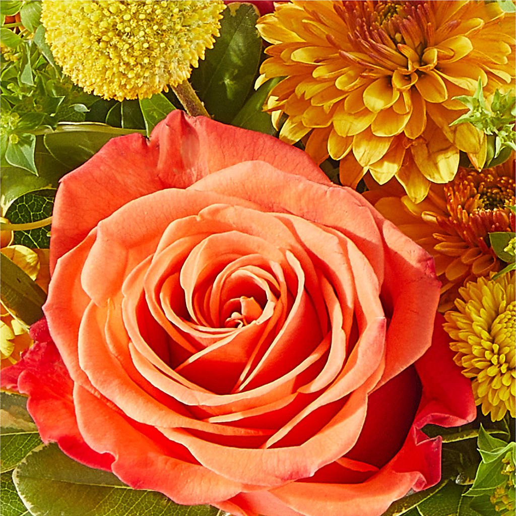 Gourdgeous Pumpkin –  Greater Fayetteville Flower Shop, Springdale AR