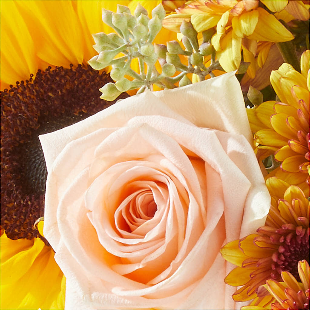 Pumpkin to Talk About Bouquet –  Greater Fayetteville Flower Shop, Springdale AR