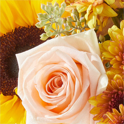 Pumpkin to Talk About Bouquet –  Greater Fayetteville Flower Shop, Springdale AR
