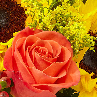 Pick of the Patch Pumpkin Bouquet –  Greater Fayetteville Flower Shop, Springdale AR