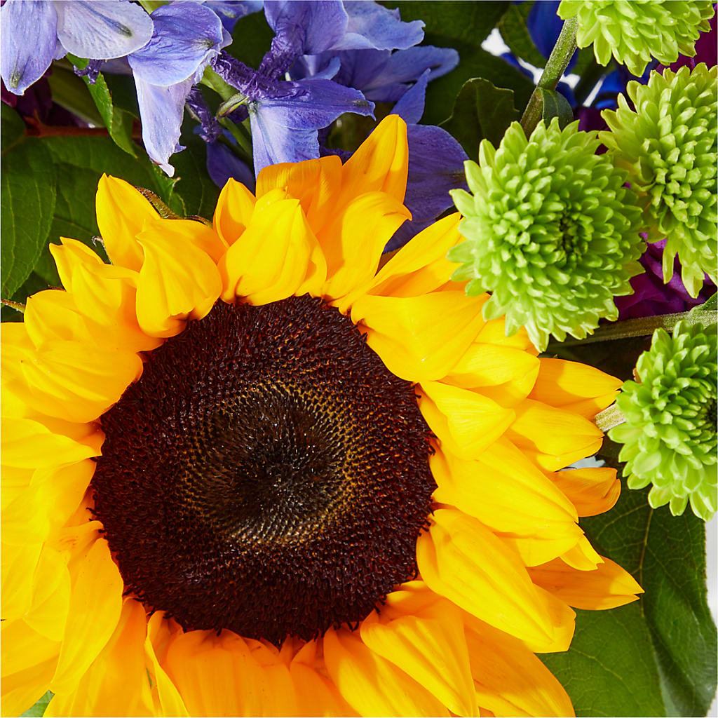 Catching Rays Bouquet –  Greater Fayetteville Flower Shop, Springdale AR