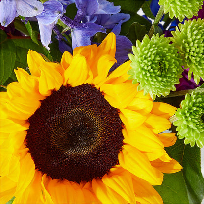 Catching Rays Bouquet –  Greater Fayetteville Flower Shop, Springdale AR