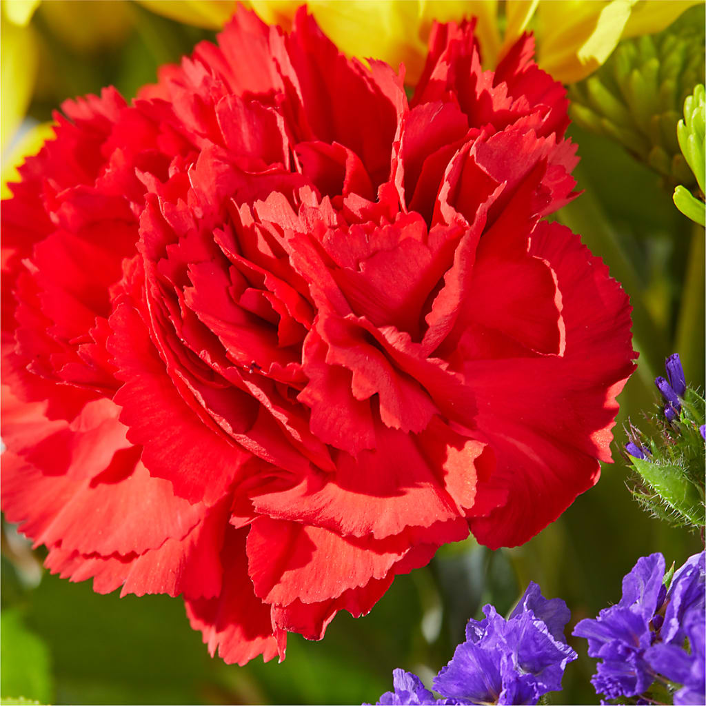 Brighter Days Bouquet –  Greater Fayetteville Flower Shop, Springdale AR