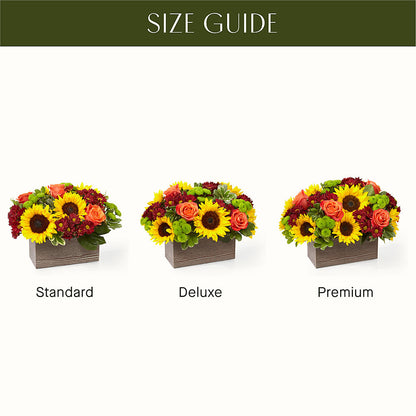 Happy Harvest Garden –  Greater Fayetteville Flower Shop, Springdale AR
