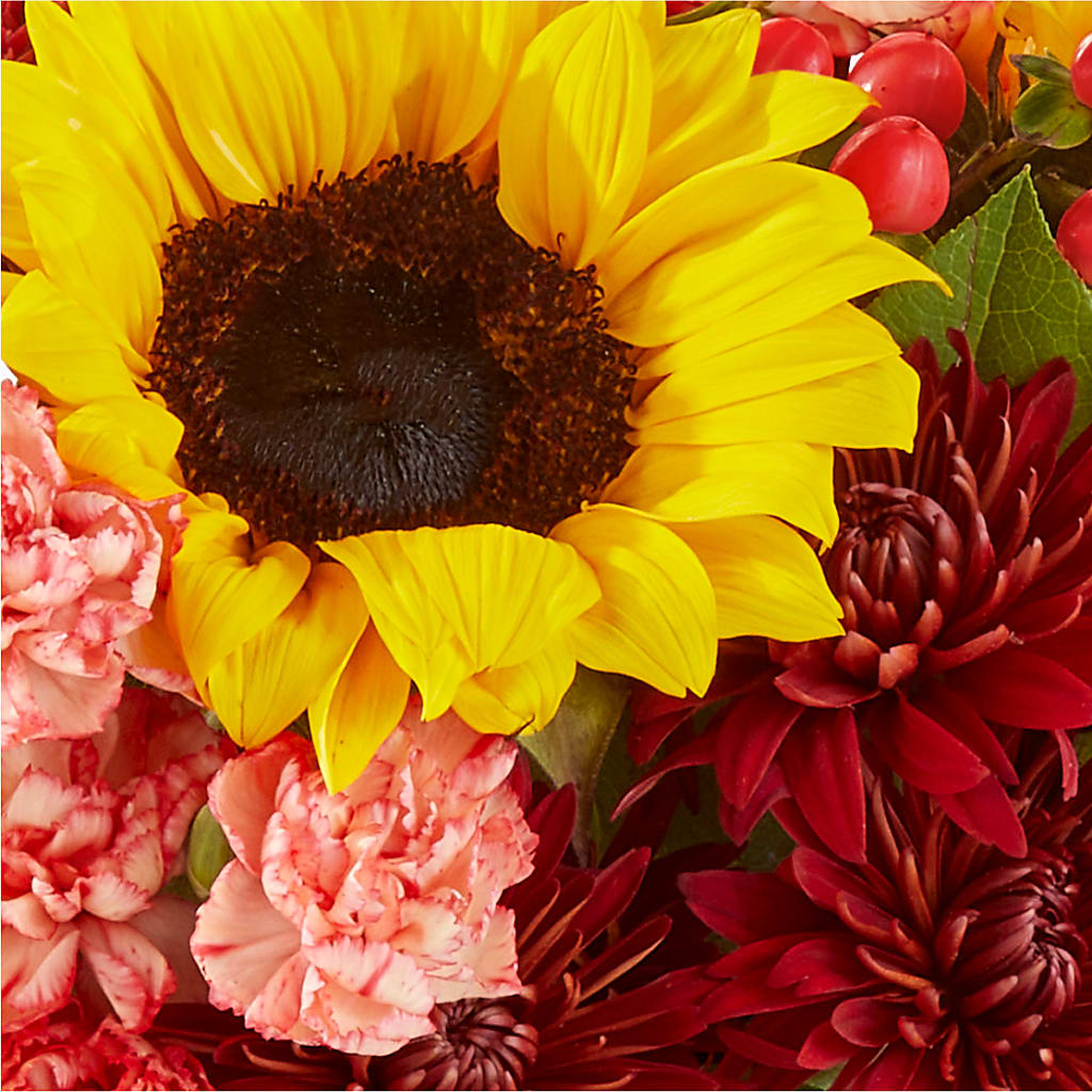 Fresh Cider Bouquet –  Greater Fayetteville Flower Shop, Springdale AR