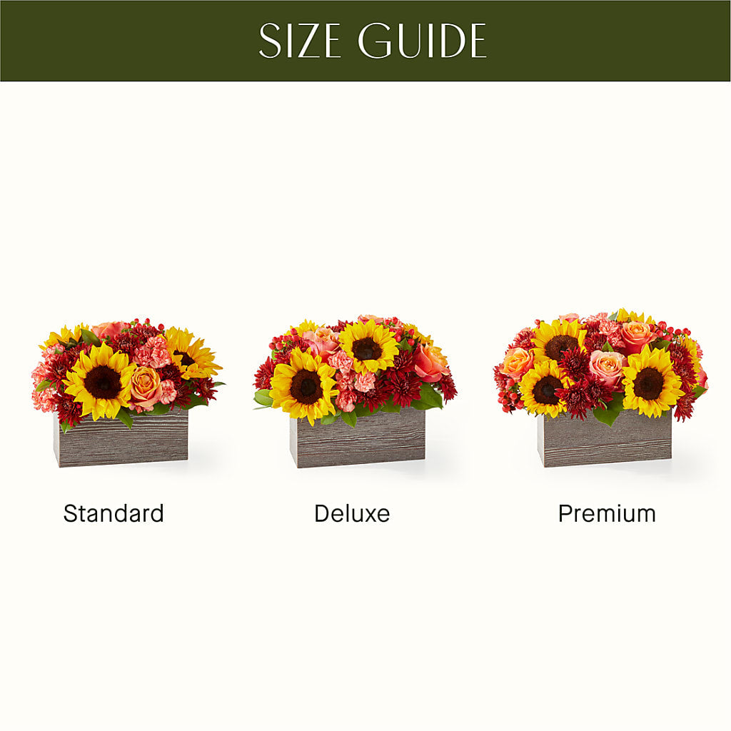 Fresh Cider Bouquet –  Greater Fayetteville Flower Shop, Springdale AR