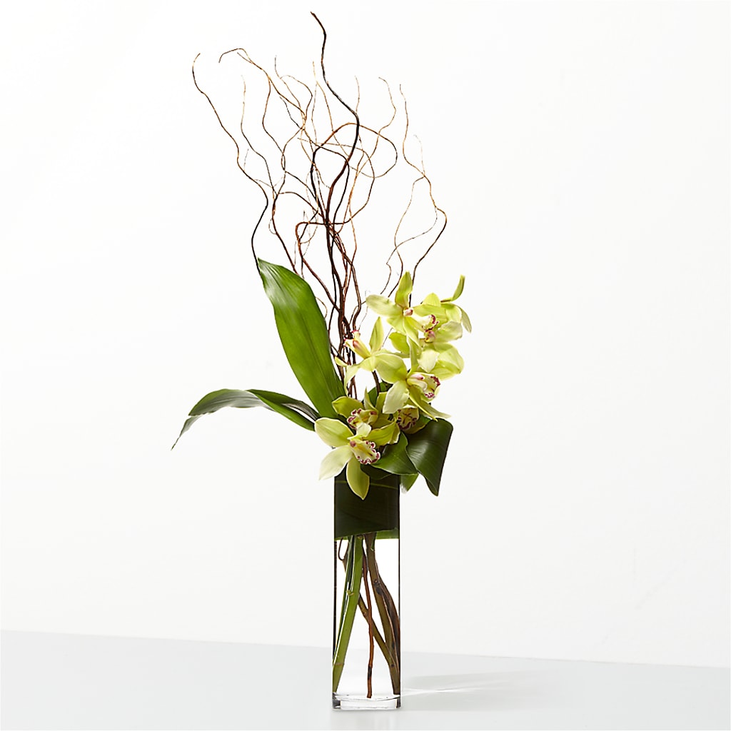 The Statement –  Greater Fayetteville Flower Shop, Springdale AR