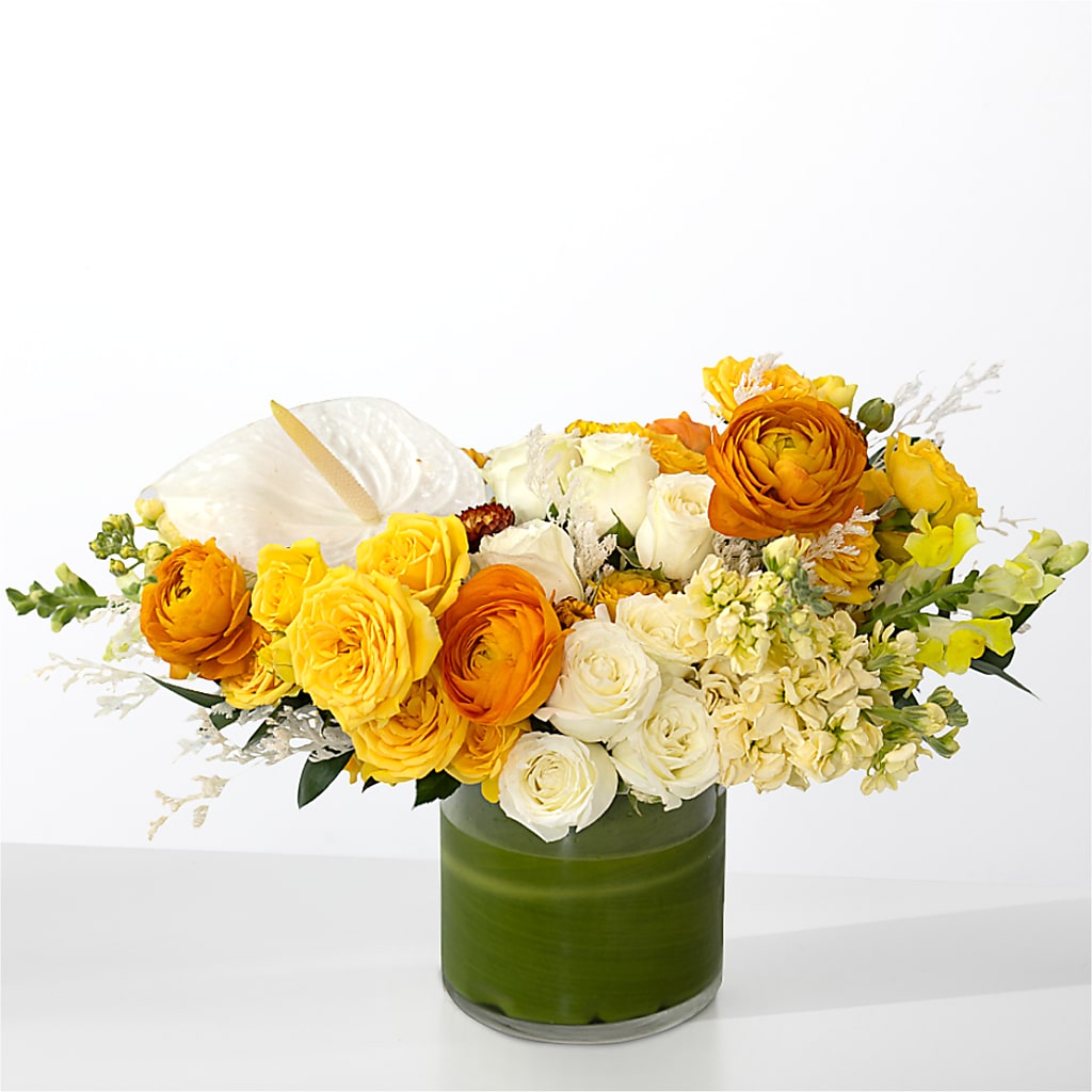 The Optimist –  Greater Fayetteville Flower Shop, Springdale AR