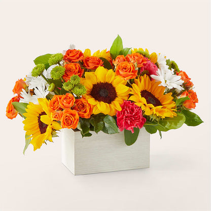 Sun-drenched Blooms Box Bouquet –  Greater Fayetteville Flower Shop, Springdale AR