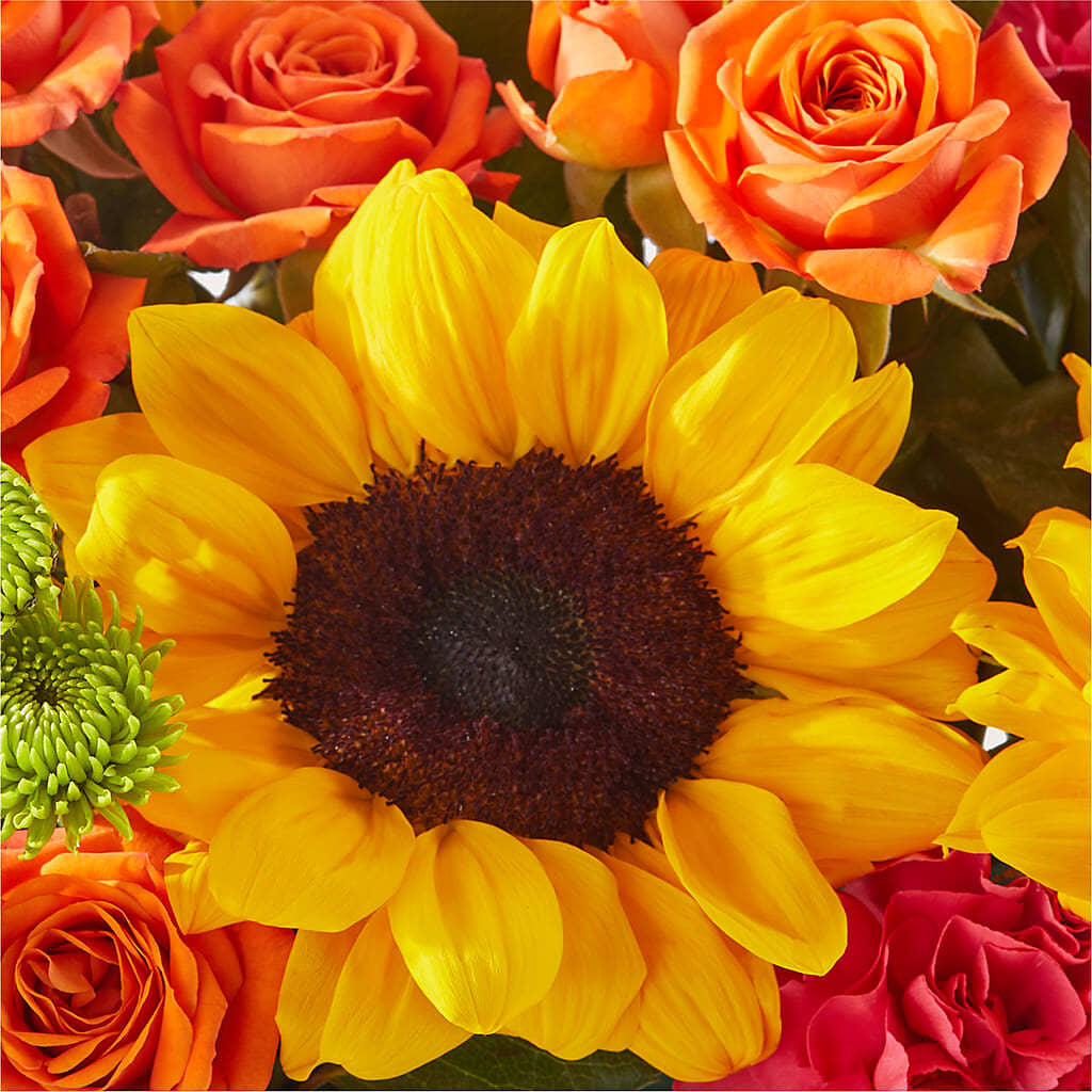 Sun-drenched Blooms Box Bouquet –  Greater Fayetteville Flower Shop, Springdale AR
