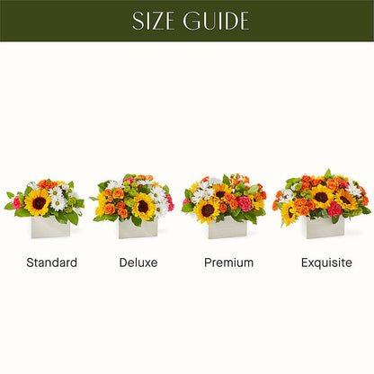 Sun-drenched Blooms Box Bouquet –  Greater Fayetteville Flower Shop, Springdale AR