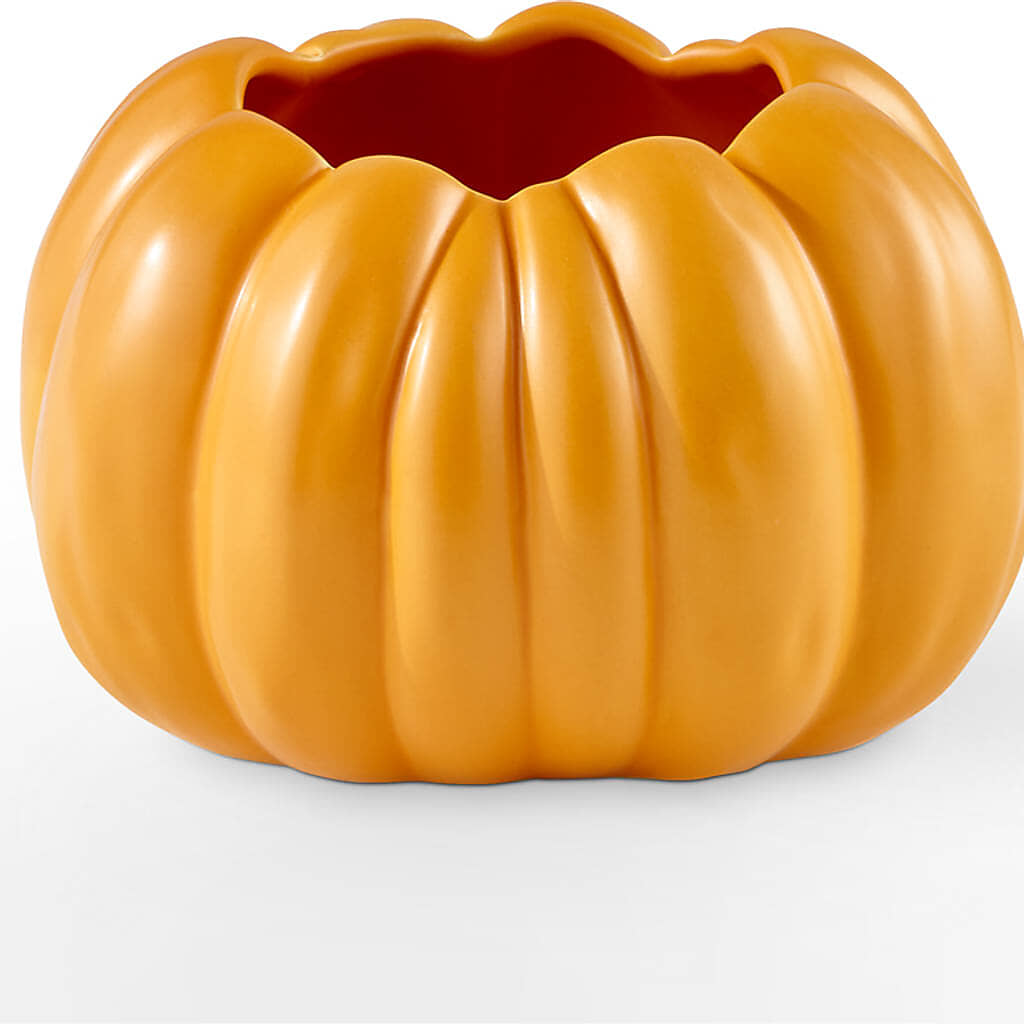 Pick of the Patch Pumpkin Bouquet –  Greater Fayetteville Flower Shop, Springdale AR