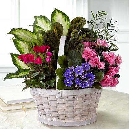 Peaceful Garden Planter –  Greater Fayetteville Flower Shop, Springdale AR