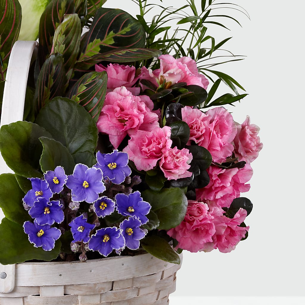 Peaceful Garden Planter –  Greater Fayetteville Flower Shop, Springdale AR